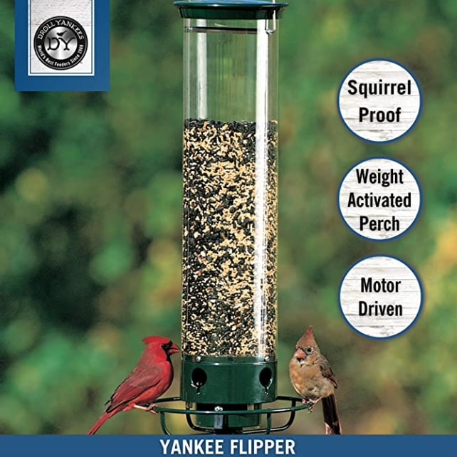 Squirrel Proof Feeder